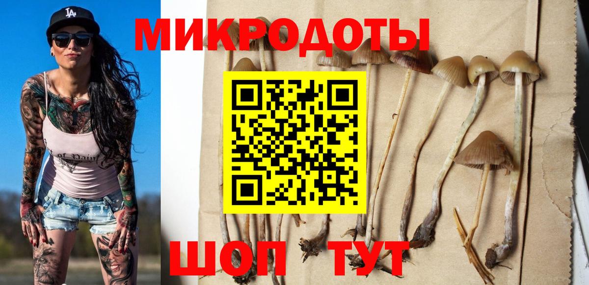 Саки  где можно купить наркотик  Вход с VPN  Галлюциногенные грибы мицелий 