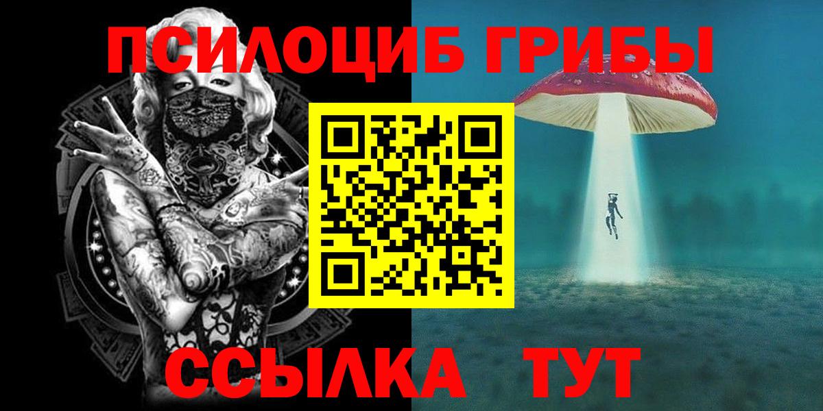 Галлюциногенные грибы Psilocybe Саки
